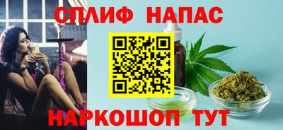 МДПВ Новодвинск