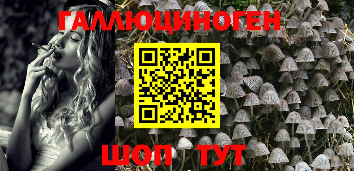Старая Купавна  Галлюциногенные грибы Magic Shrooms  Вход с VPN 