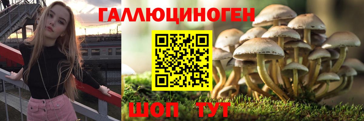 Псилоцибиновые грибы MAGIC MUSHROOMS Старая Купавна